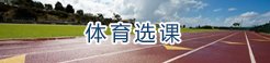 参赛阵容含金量十足